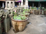2006-06-24 10-50-16_0005.JPG