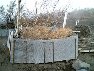 image/konisiro-2005-11-25T02:53:02-1.jpg