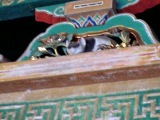 image/konisiro-2005-12-12T22:43:58-1.jpg