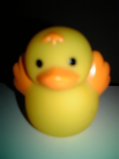061007_235800.jpg